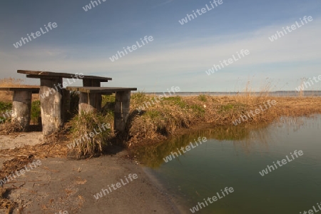 Am Boddstetter Bodden, Nationalpark Vorpommersche Boddenlandschaft, Deutschland