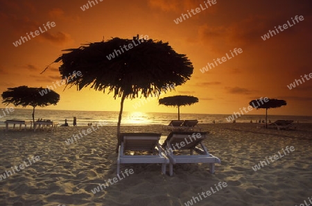  the beach of Anjuna in the Province Goa in India.