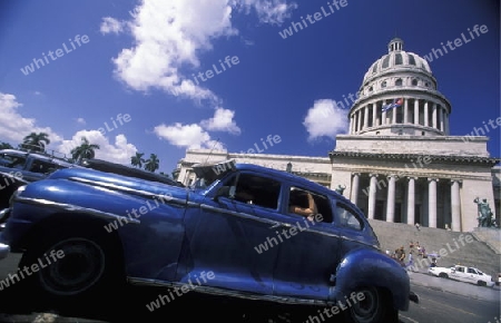 old cars in the old townl of the city of Havana on Cuba in the caribbean sea.