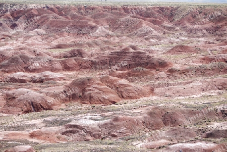 Petrified Forrest Naturpark USA 1