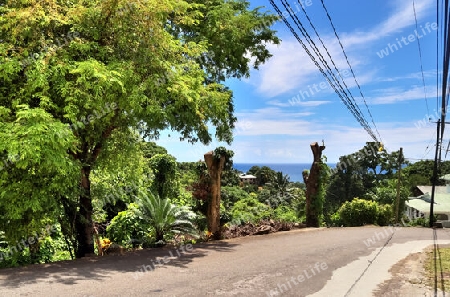 Beautiful impressions of the tropical landscape paradise on the Seychelles islands