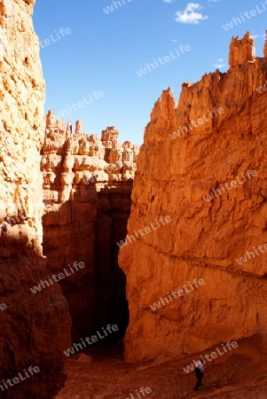 Bryce Canyon USA