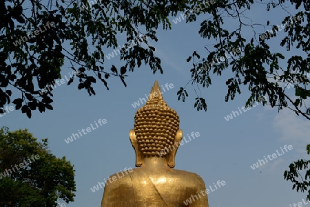 the big Buddha in city centre of Amnath Charoen north of the City of Ubo Ratchathani in the east  of Thailand. 