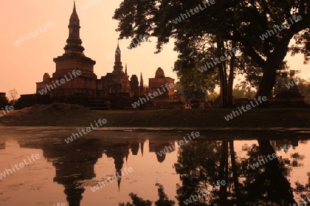 Ein Chedi beim Wat Mahathat Tempel in der Tempelanlage von Alt-Sukhothai in der Provinz Sukhothai im Norden von Thailand in Suedostasien.