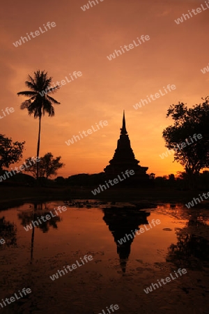 Ein Chedi beim Wat Mahathat Tempel in der Tempelanlage von Alt-Sukhothai in der Provinz Sukhothai im Norden von Thailand in Suedostasien.