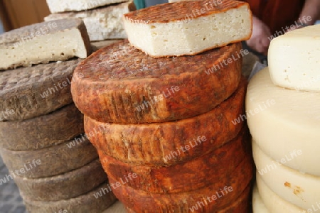 cheese at the Market in the Village of Teror in the Mountains of central Gran Canay on the Canary Island of Spain in the Atlantic ocean.