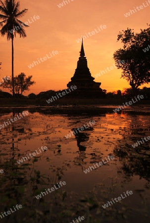 Ein Chedi beim Wat Mahathat Tempel in der Tempelanlage von Alt-Sukhothai in der Provinz Sukhothai im Norden von Thailand in Suedostasien.