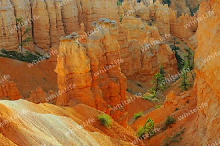 Felsformationen und Hoodoos waehrend Sonnenaufgang, Sunrise Point, Bryce Canyon Nationalpark, Utah, Suedwesten USA