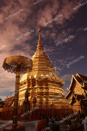 Der Chedi der Tempel Anlage des Wat Phra That Doi Suthep bei Chiang Mai in der Provinz Chiang Mai im Norden von Thailand in Suedostasien.