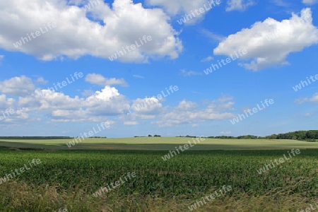 Wiesenlandschaft