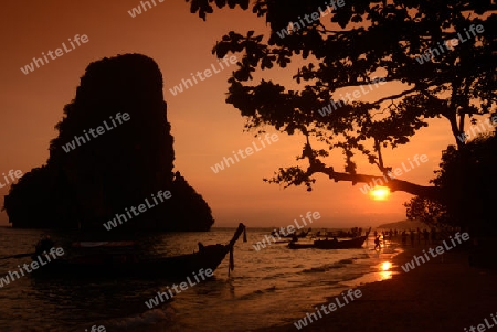 The Hat Phra Nang Beach at Railay near Ao Nang outside of the City of Krabi on the Andaman Sea in the south of Thailand. 