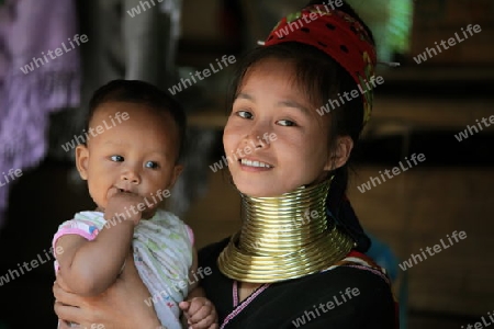 Eine Traditionell gekleidete Langhals Frau eines Paudang Stammes aus Burma lebt in einem Dorf noerdlich von Chiang Mai in Nord Thailand.