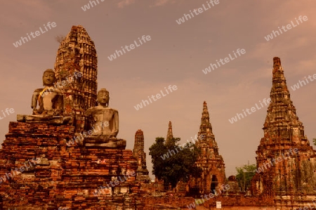 The Wat Chai Wattanaram Temple in City of Ayutthaya in the north of Bangkok in Thailand, Southeastasia.