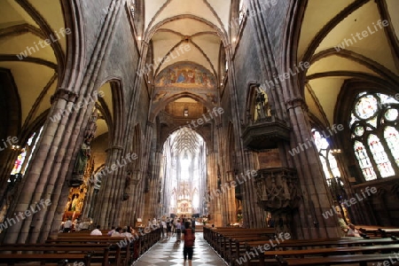 the muenster church in the old town of Freiburg im Breisgau in the Blackforest in the south of Germany in Europe.