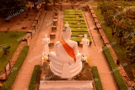 The Wat Yai Chai Mongkol Temple in City of Ayutthaya in the north of Bangkok in Thailand, Southeastasia.