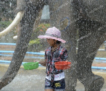 Das Songkran Fest oder Wasserfest zum Thailaendischen Neujahr ist im vollem Gange in Ayutthaya noerdlich von Bangkok in Thailand in Suedostasien.  