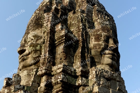 Stone Faces the Tempel Ruin of Angkor Thom in the Temple City of Angkor near the City of Siem Riep in the west of Cambodia.