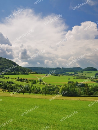 Felder und Wiesen