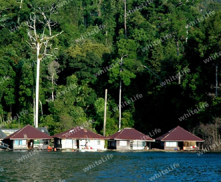 Kao Sok Nationalpark