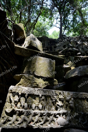 The Tempel Ruin of  Beng Mealea 32 Km north of in the Temple City of Angkor near the City of Siem Riep in the west of Cambodia.