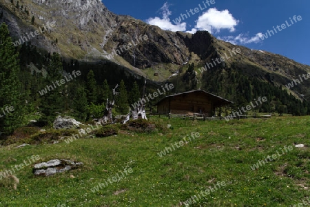 Grawandalm im Zemmgrund/Zillertaler Alpen, ?sterreich