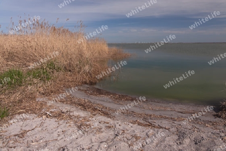 Am Boddstetter Bodden, Nationalpark Vorpommersche Boddenlandschaft, Deutschland