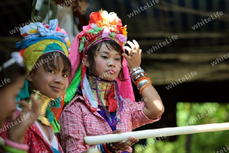 Eine Traditionell gekleidete Langhals Frau eines Paudang Stammes aus Burma lebt in einem Dorf noerdlich von Chiang Mai in Nord Thailand.