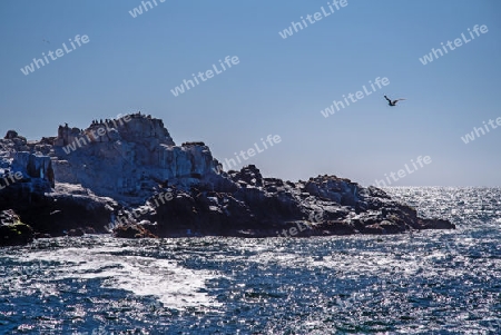 Felsformation vor La Serena, Chile