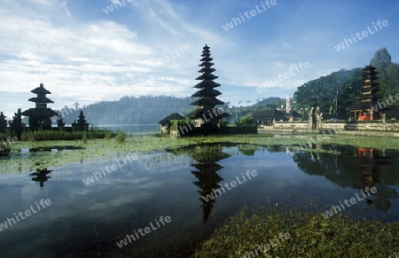 Der Pura Ulum Danu Tempel am Bratan See im Norden von Bali auf der Insel Bali in Indonesien.