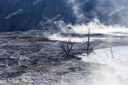 Yellowstone National Park