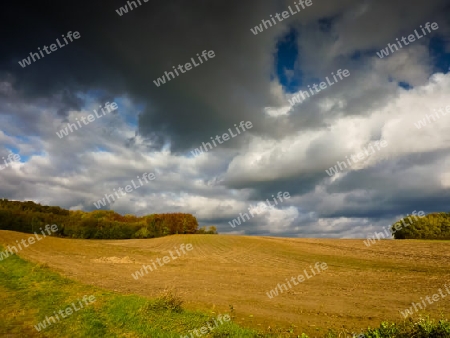 Herbst