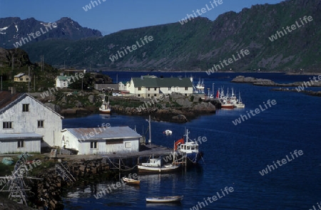 Lofoten