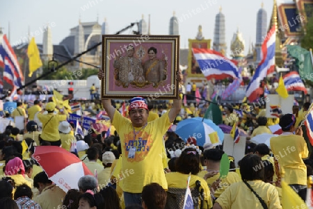 Tausende von Thailaender zelebrieren den Kroenungstag des Koenig Bhumibol auf dem Sanam Luang Park vor dem Wat Phra Kaew in der Stadt Bangkok in Thailand in Suedostasien.  