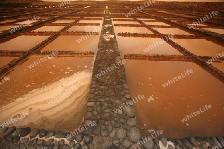 the Salinas of Las Salinas on the Island Fuerteventura on the Canary island of Spain in the Atlantic Ocean.