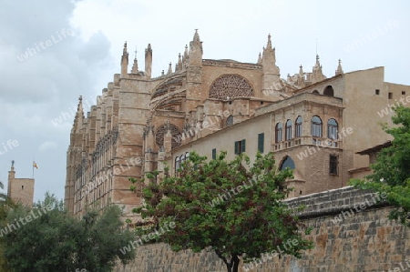 Palma Kathedrale