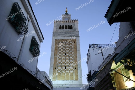 Afrika, Tunesien, Tunis, Altstadt, Medina, Souq, Altstadt,
