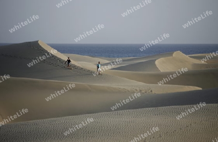 the Sanddunes at the Playa des Ingles in town of Maspalomas on the Canary Island of Spain in the Atlantic ocean.