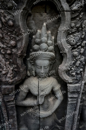 The Temple of  Ta Prohm in the Temple City of Angkor near the City of Siem Riep in the west of Cambodia.