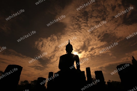 Eine Buddha Figur  im Wat Mahathat Tempel in der Tempelanlage von Alt-Sukhothai in der Provinz Sukhothai im Norden von Thailand in Suedostasien.