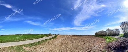 Beautiful high resolution panorama of a northern european country landscape with fields and green grass.