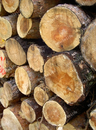 holzstapel