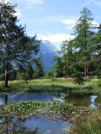 Teich am Kramerplateauweg