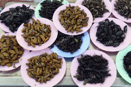 Insekten auf dem Markt in Amnat Charoen im Isan im osten von Thailand,