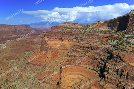 Shafer Canyon im Abendlicht, Canyonlands Nationalpark, Utah, Suedwesten, USA