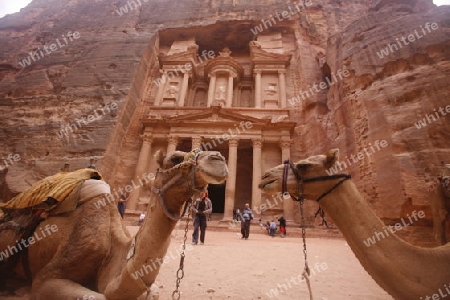 The Al Khazneh Treasury in the Temple city of Petra in Jordan in the middle east.