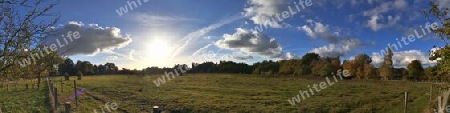 Beautiful high resolution panorama of a northern european country landscape with fields and green grass.