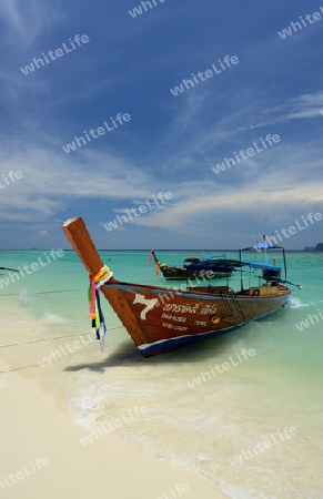 A Beach on the Island of Ko PhiPhi on Ko Phi Phi Island outside of the City of Krabi on the Andaman Sea in the south of Thailand. 