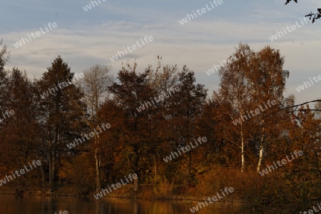 Herbst am See