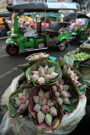 Blumen auf dem Pak Khlong Markt von Bangkok der Hauptstadt von Thailand in Suedostasien.
