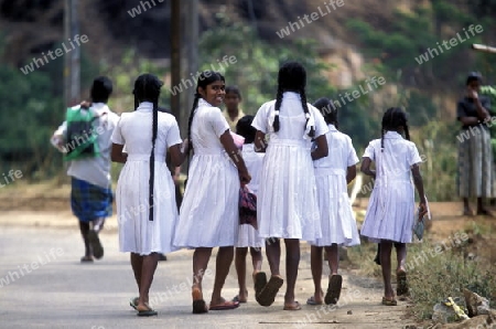 Asien, Indischer Ozean, Sri Lanka,
Schulmaedchen auf dem langen Weg zur Schule im Kuestendorf Hikkaduwa an der Suedwestkueste von Sri Lanka. (URS FLUEELER)






